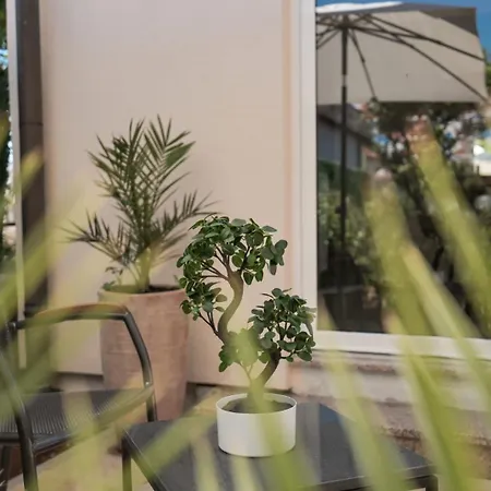 Appartamento Apartmentszelic *